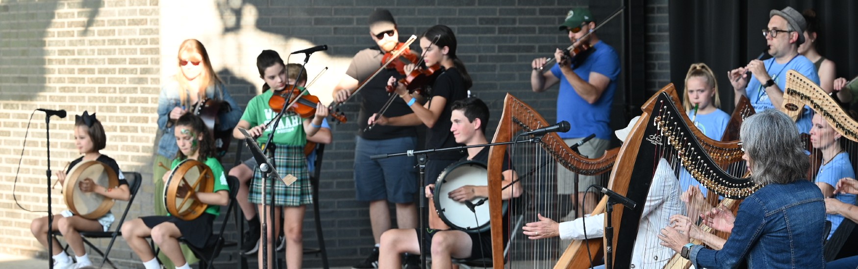 Learn an Irish Tune a Week Class with Heather Lewin